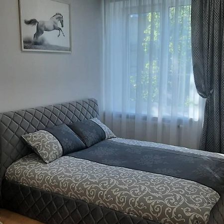 Šiauliai Jaukus Apartamentai Centre מראה חיצוני תמונה
